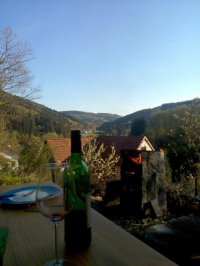 FeWo PacoHaus nähe Willingen Diemelsee